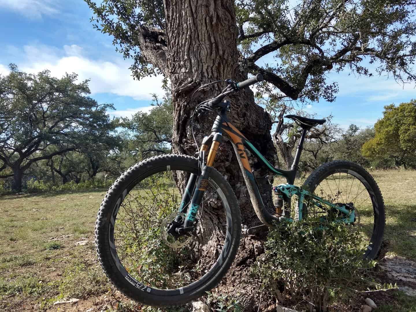 Mountain bikes leaning on a live oak at the Flat Rock Ranch trailhead