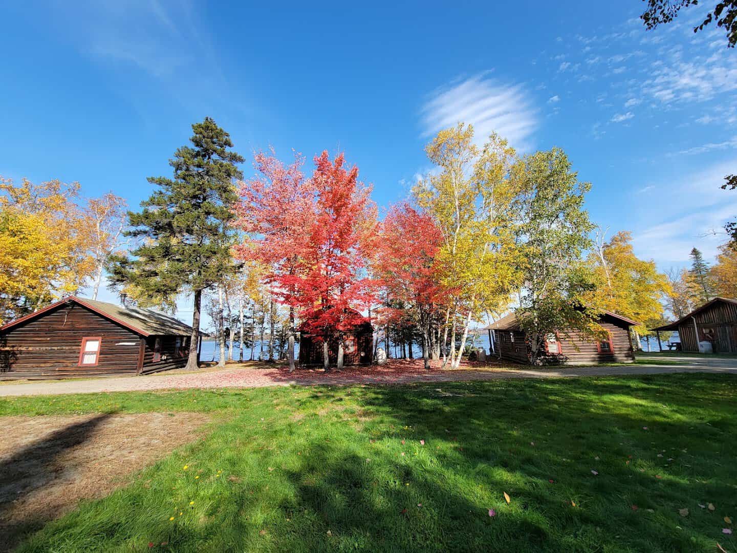 Log cabin framed by red fall maples at The Birches Resort, Rockwood, Maine