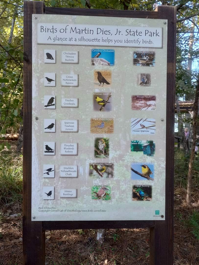 Birds of Martin Dies Jr State Park interpretive sign