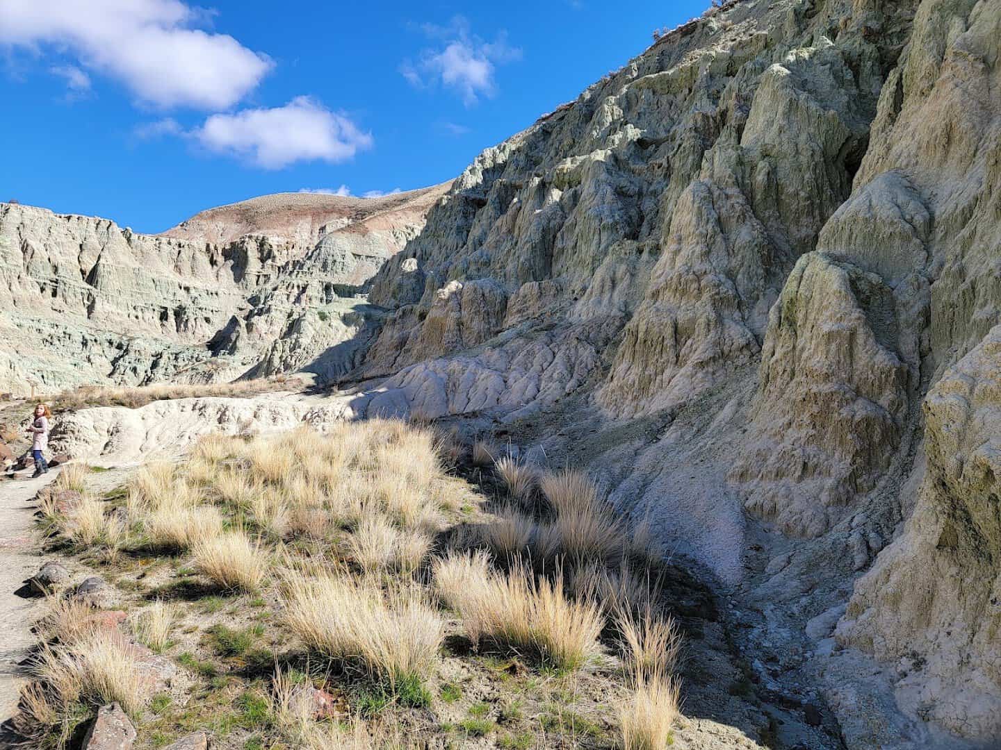 The blue-green claystone formations of Blue Basin in the John Day Fossil Beds near Dayville, Oregon