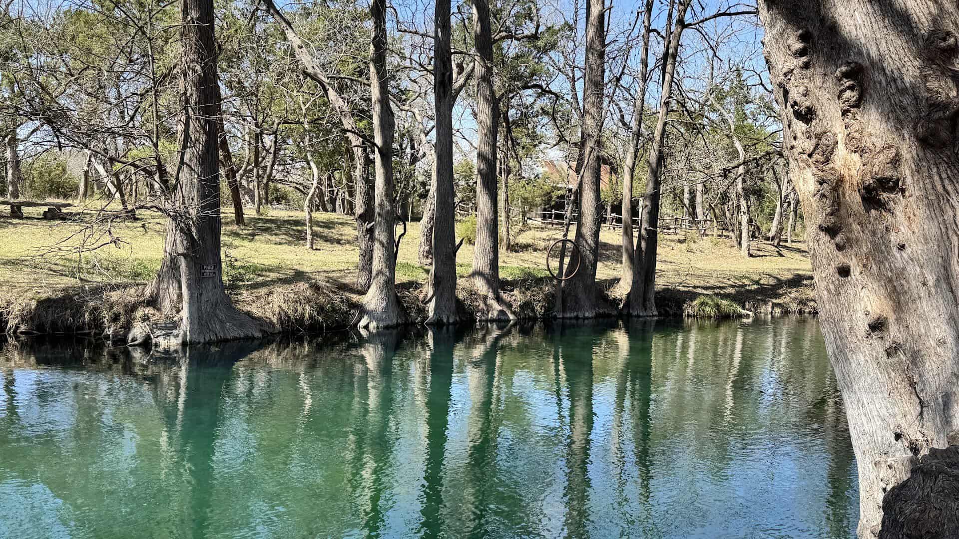The spring-fed emerald water and cypress trees of Blue Hole, Wimberley, Texas
