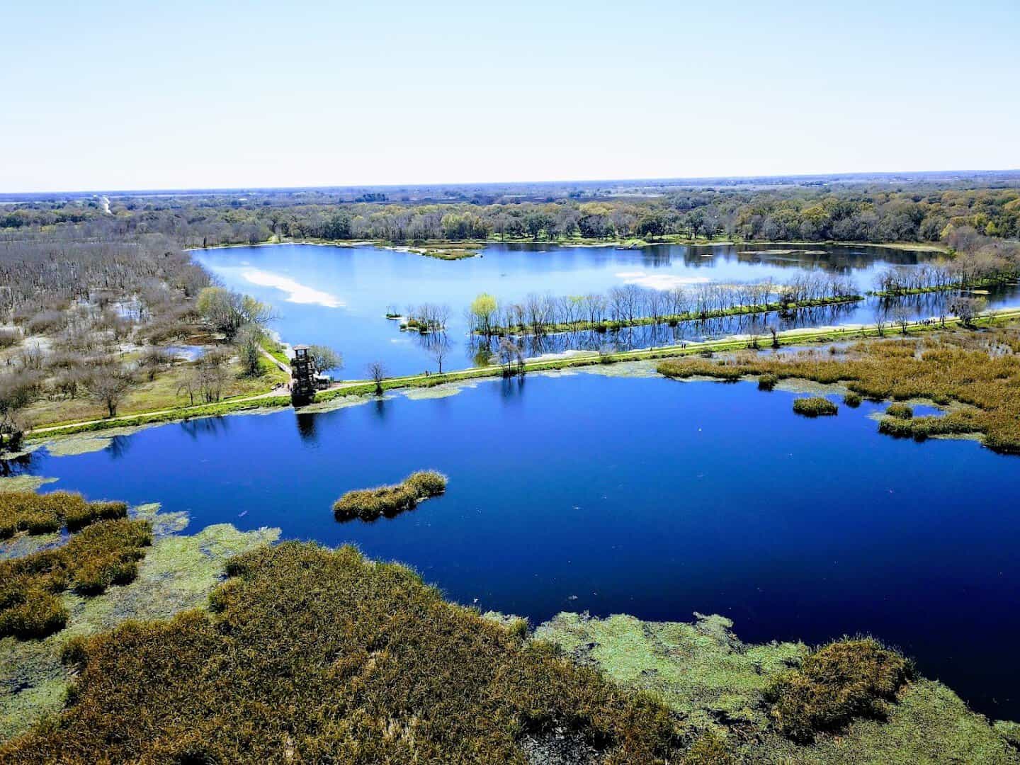 Blue lake and marsh under a bright sky at Brazos Bend State Park, Texas