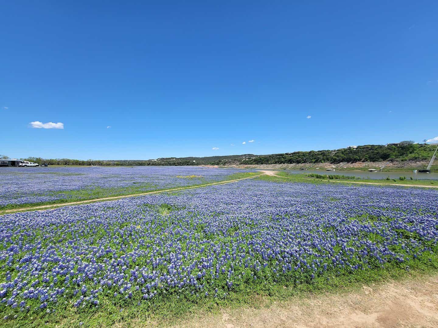 Wide bluebonnet field with a dirt path and Lake Travis at Muleshoe Bend Recreation Area
