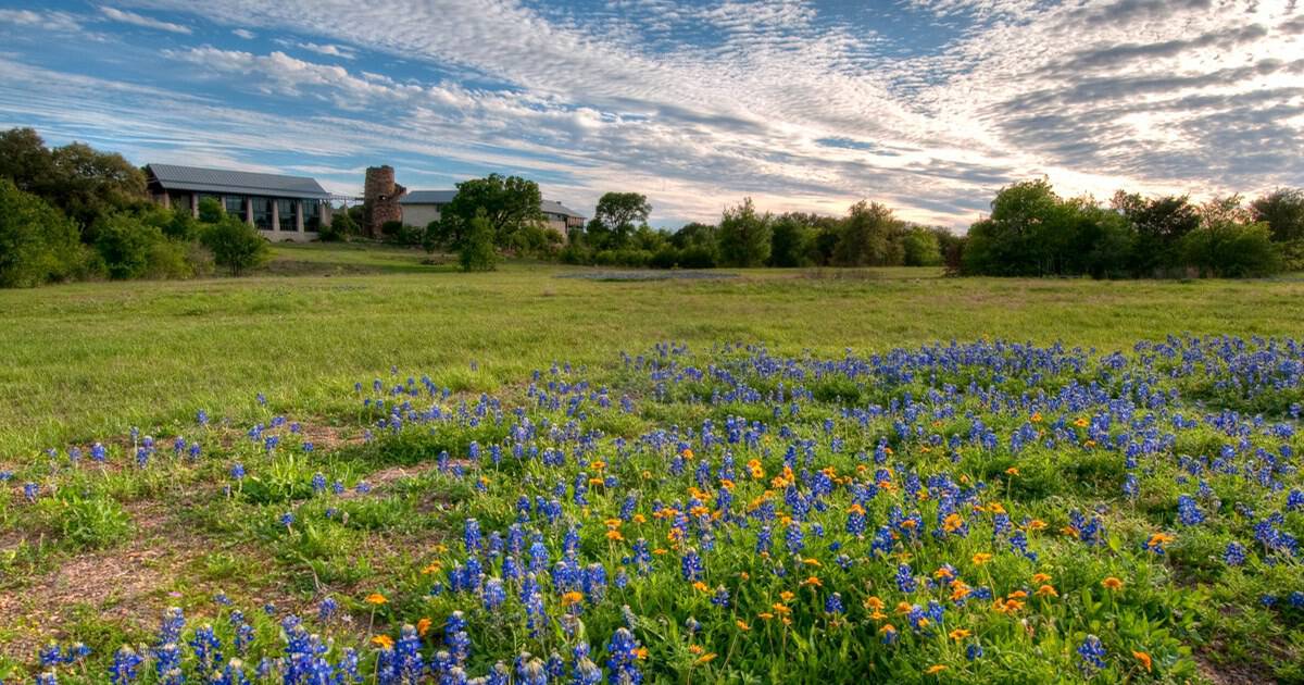 This Stunning Texas Garden Is Blanketed in Native Wildflowers and Laced With Peaceful Trails