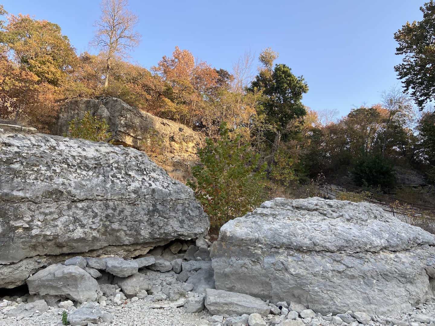 Bluff shoreline lined with trees at Eisenhower State Park on Lake Texoma