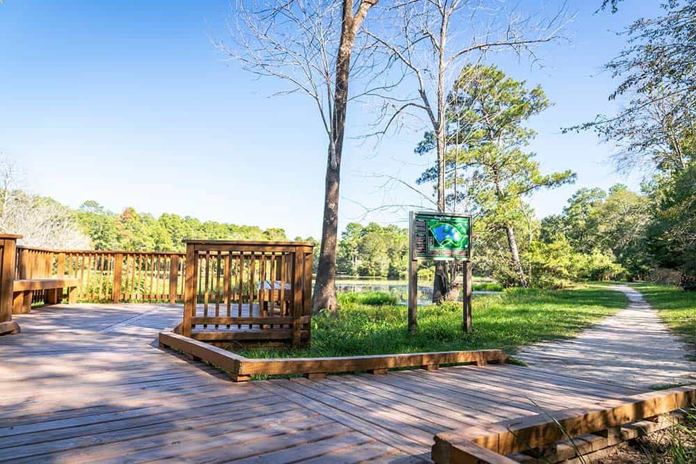Wooden boardwalk deck among the trees at Spring Creek Greenway