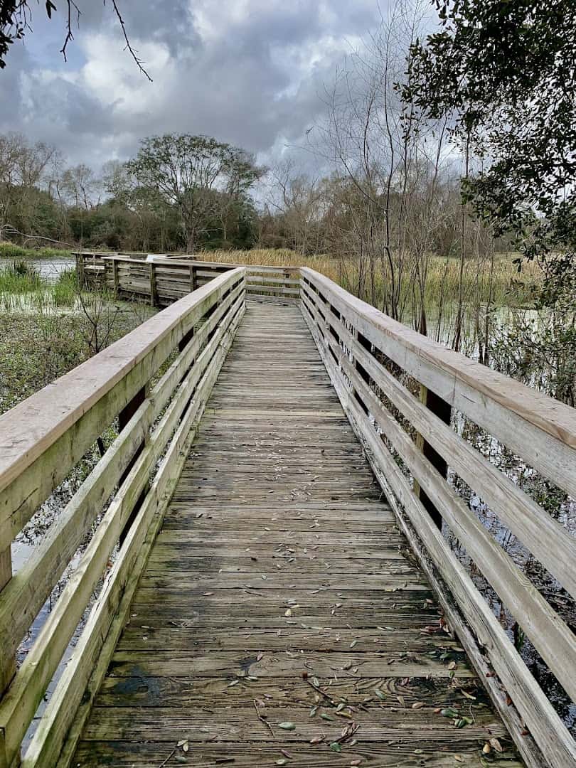 Wooden boardwalk trail through the wetlands at Brazos Bend State Park, Texas