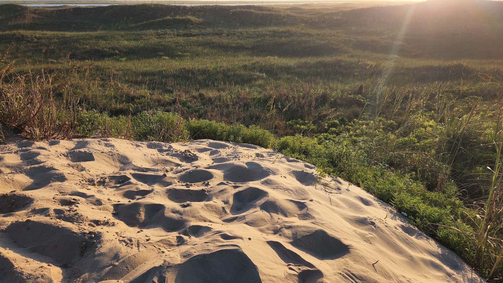 Sunrise over the dunes at Boca Chica Beach, Texas
