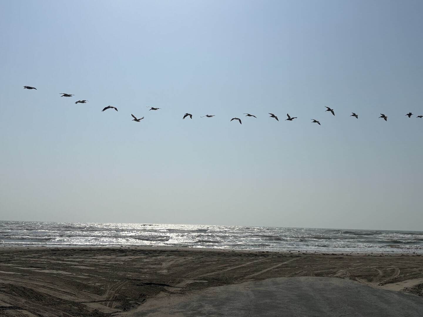 Pelicans flying in a line over the surf at Boca Chica Beach, Texas