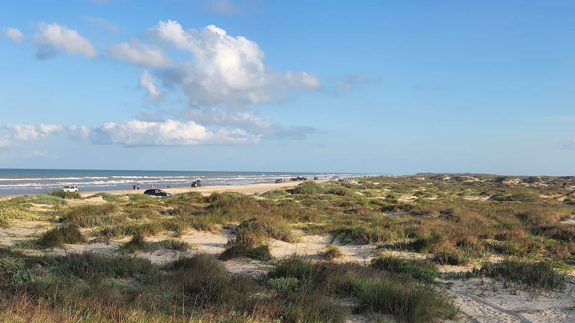 Wild dunes and coastal flats at Boca Chica Beach, Texas
