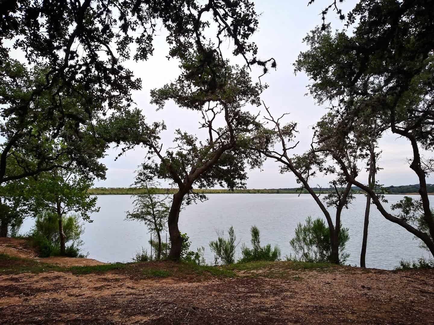 Boerne City Lake seen through Hill Country oaks, Boerne, Texas