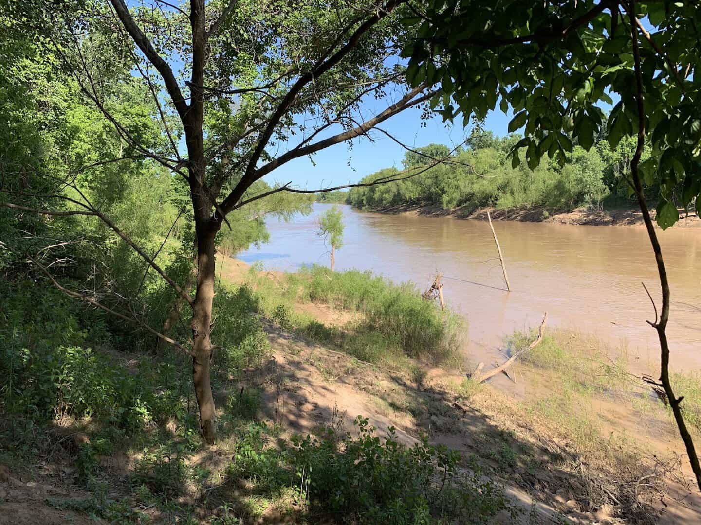 View of the Brazos River from the wooded bank at Brazos River Park in Sugar Land, Texas