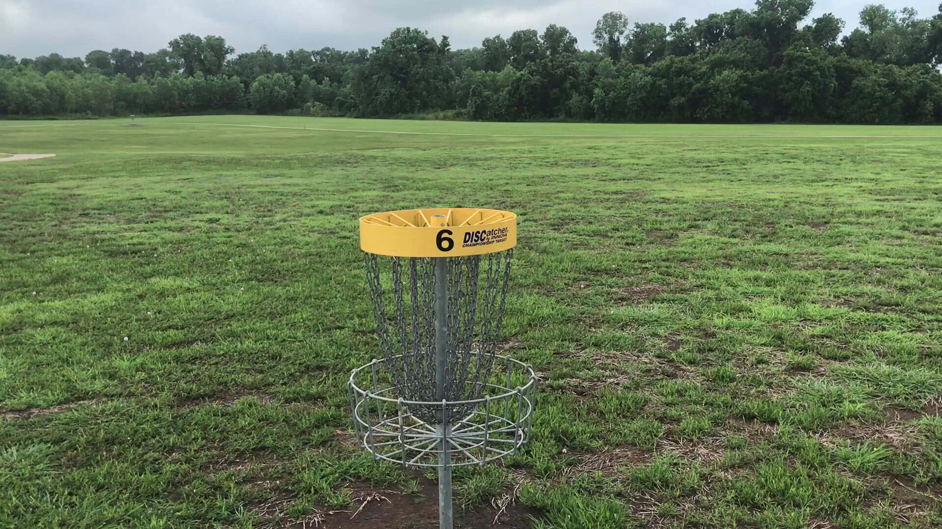 Disc golf basket in an open meadow at Brazos River Park in Sugar Land, Texas