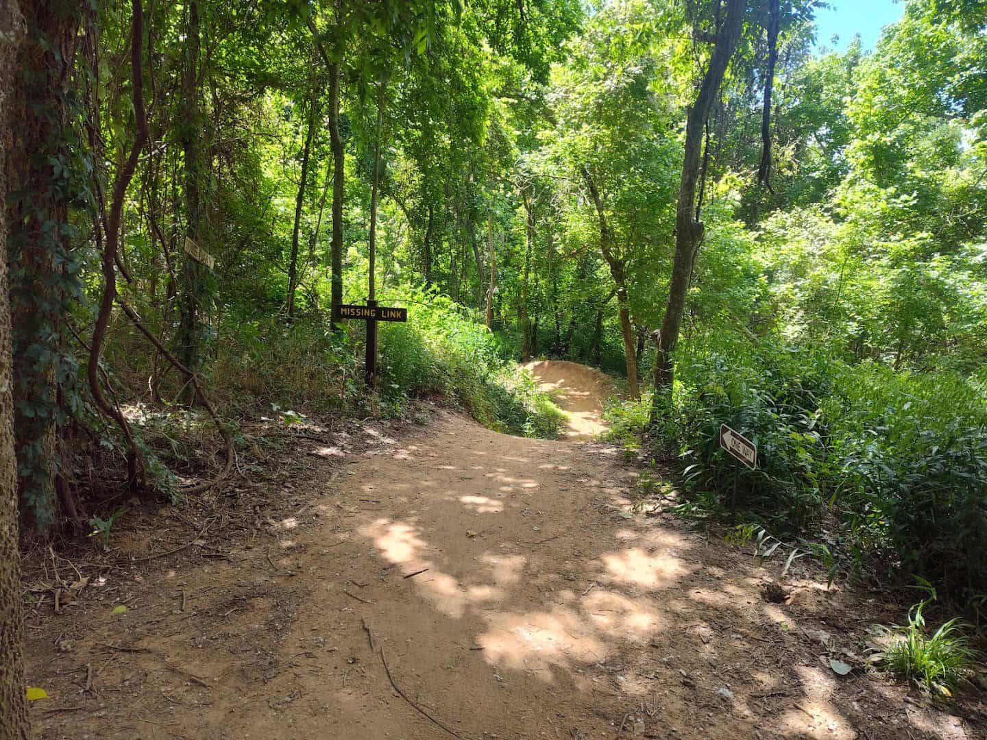 Natural surface dirt trail through the woods at Brazos River Park in Sugar Land, Texas