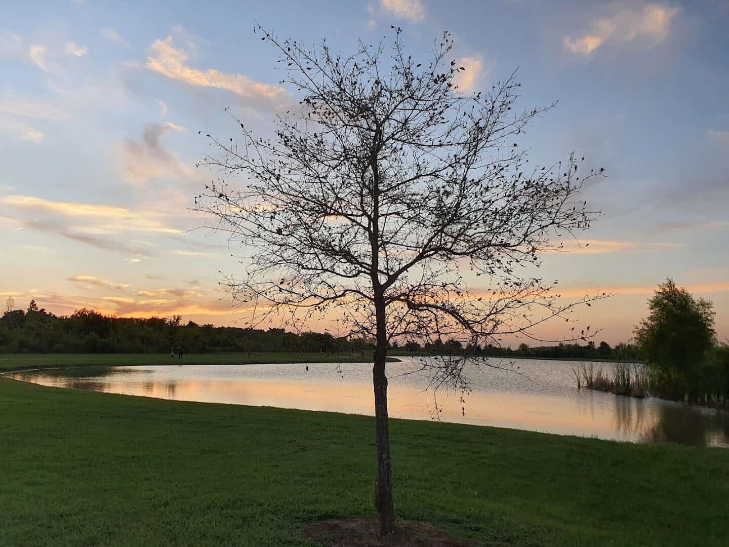 Sunset over the water at Brazos River Park in Sugar Land, Texas