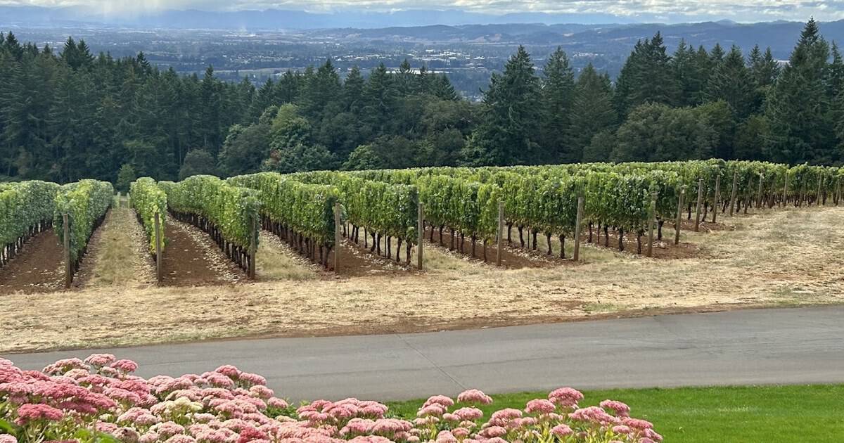 9 Bucket-List Wineries That Pair Great Wine With Jaw-Dropping Views