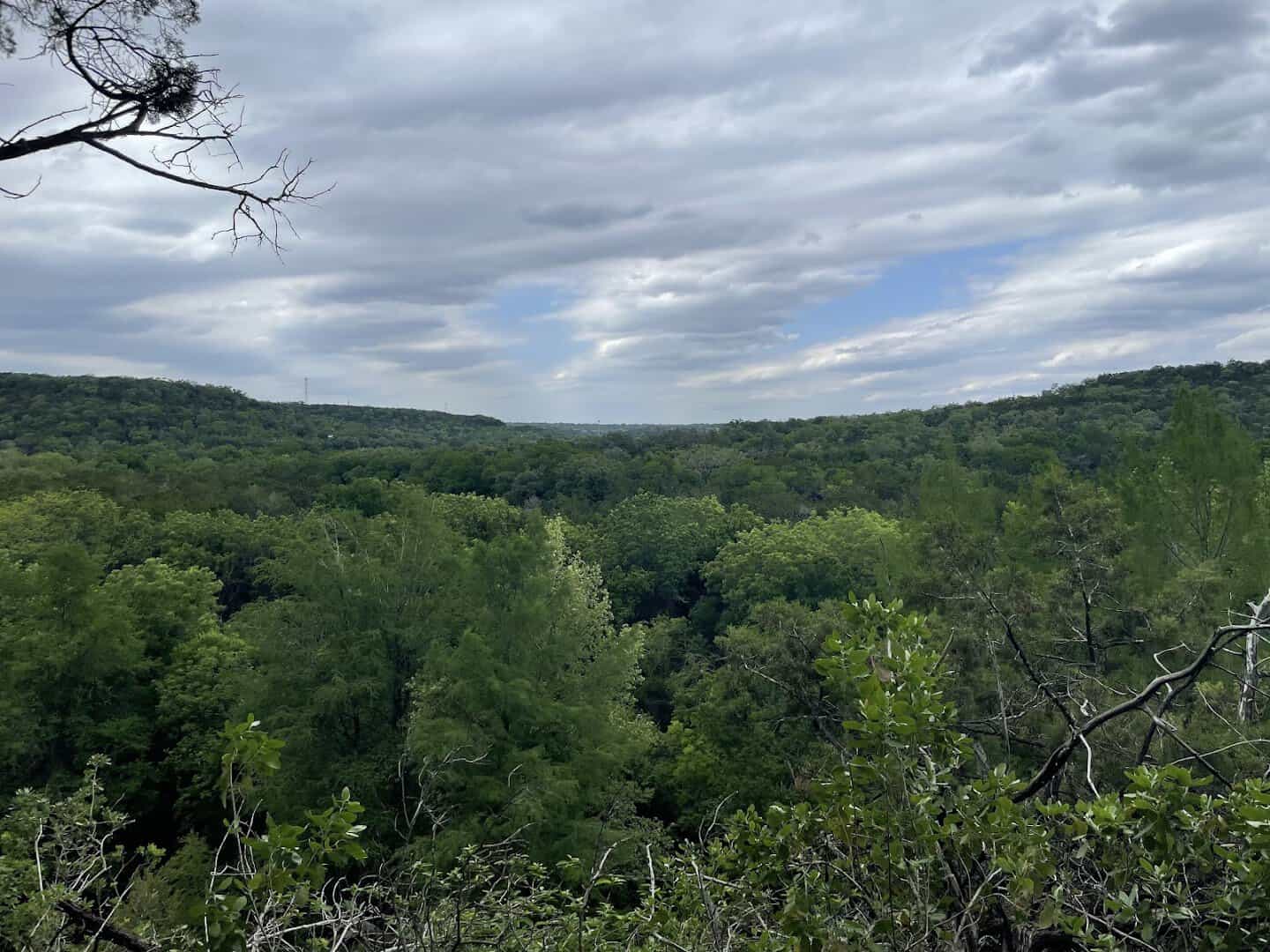 A bluff overlook above the Bull Creek valley at St. Edward's Park in Austin