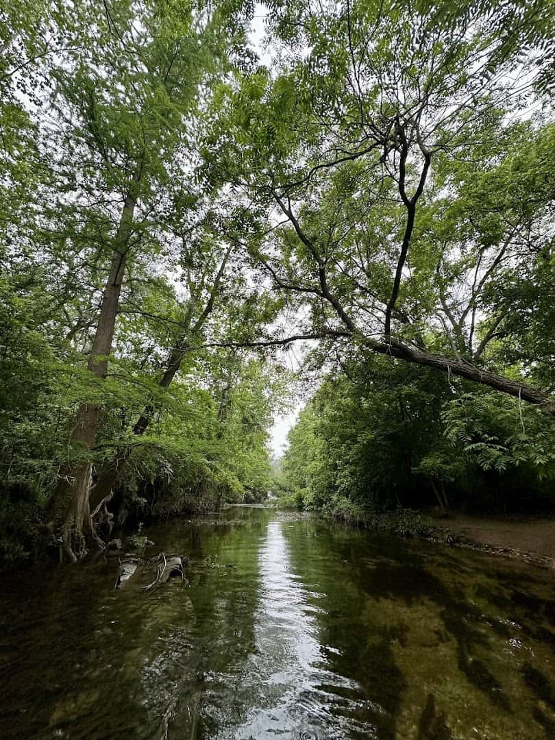 Bull Creek winding through tree-lined banks at St. Edward's Park in Austin