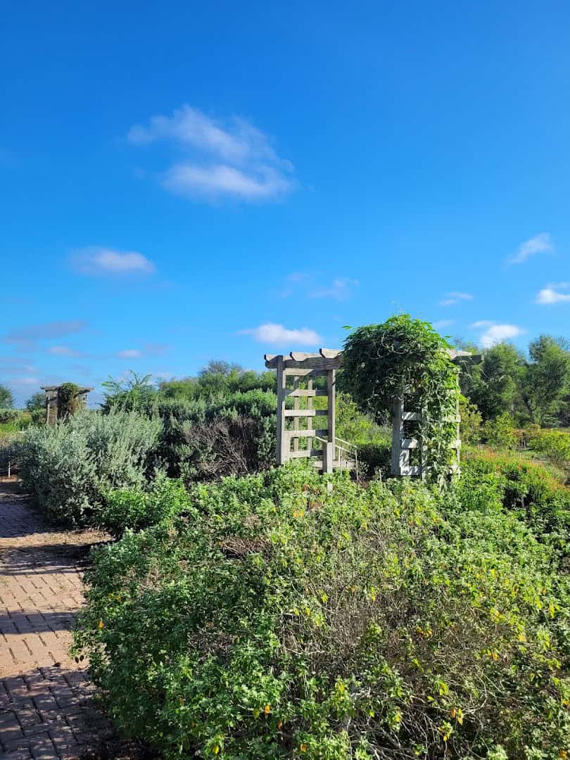 Vine-covered garden arbor and native plantings at the National Butterfly Center in Mission, Texas