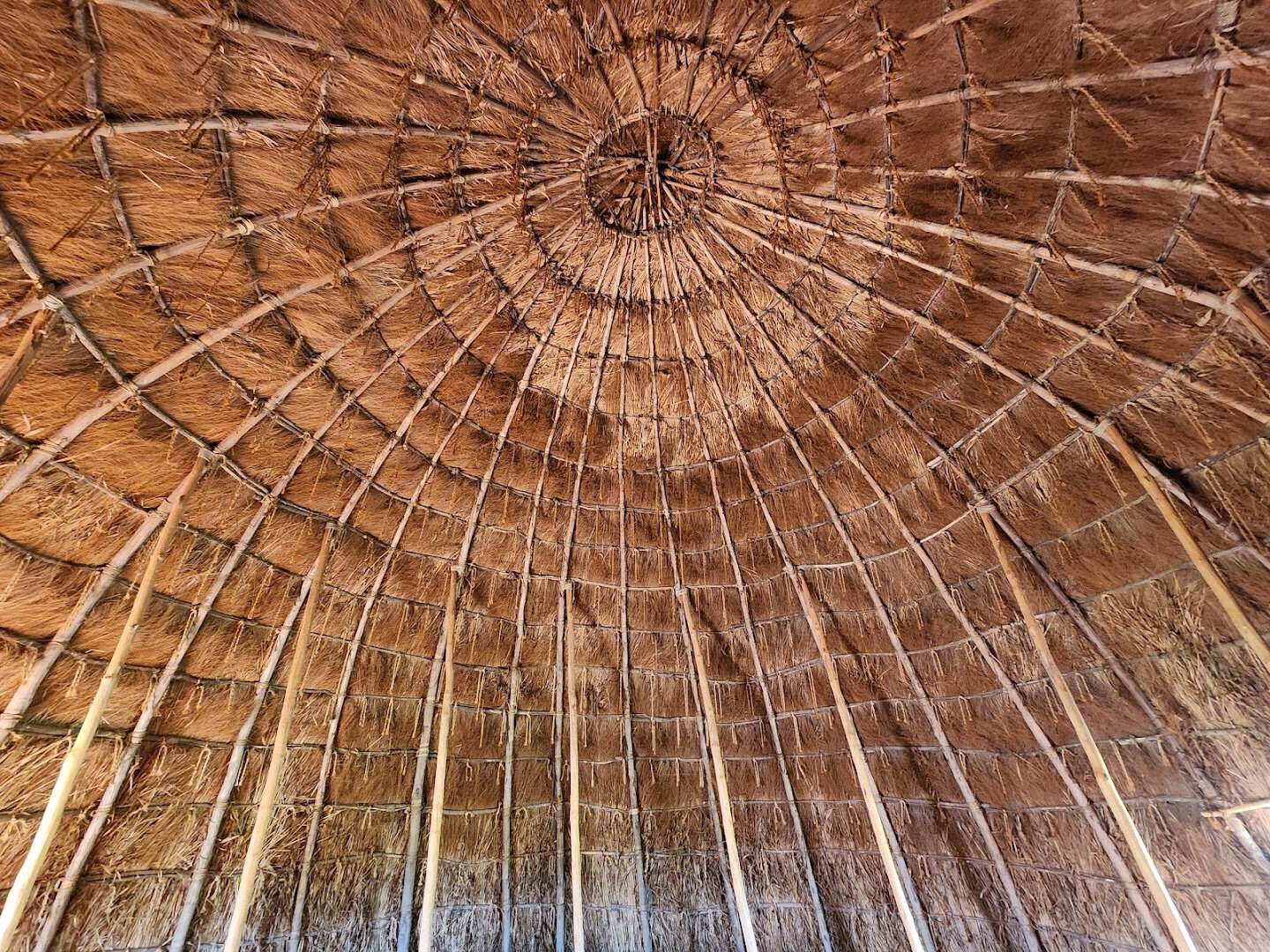 Inside the Caddo grass house looking up at the pole frame and switchgrass thatch
