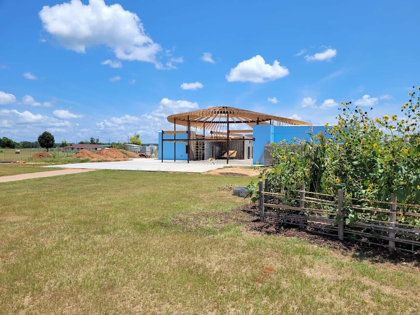 Shade pavilion and sunflower garden on the prairie at Caddo Mounds State Historic Site