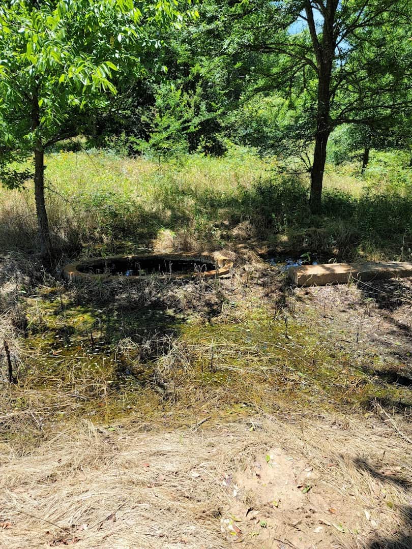 Wooded trail through the old camp footprint at Camp Hearne