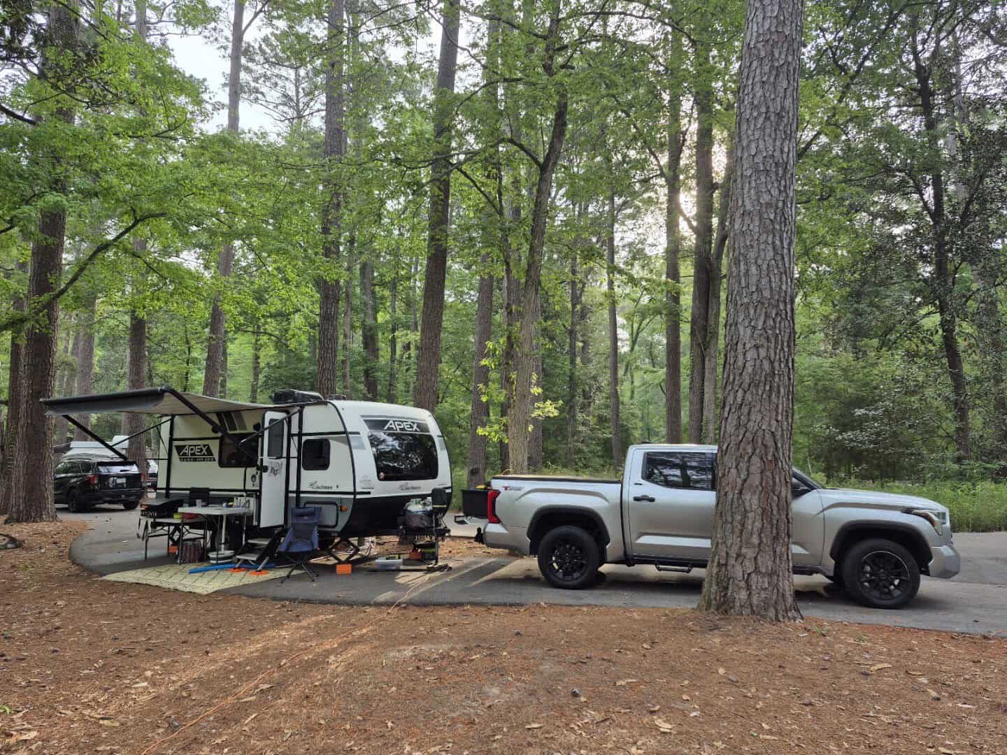 A campsite among the pines at Martin Dies Jr State Park
