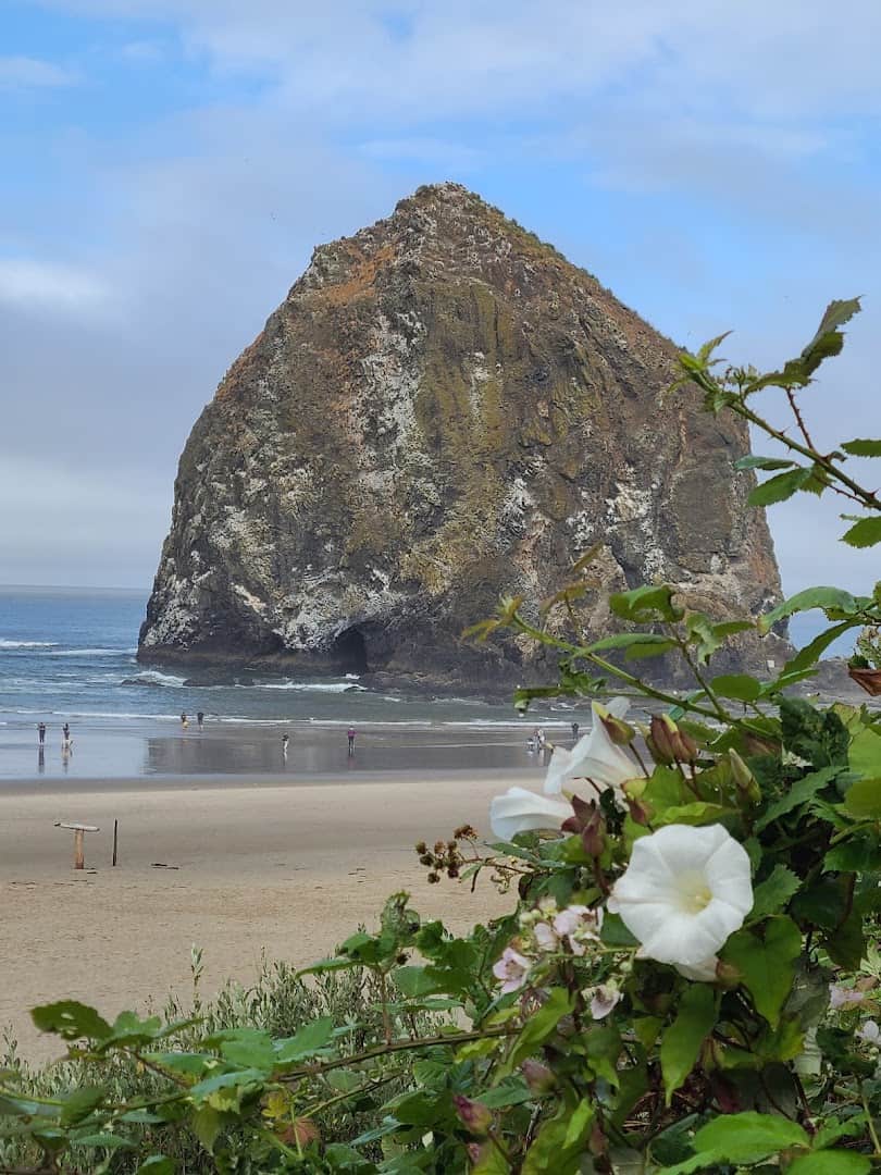 Haystack Rock rising from the surf at Cannon Beach, Oregon
