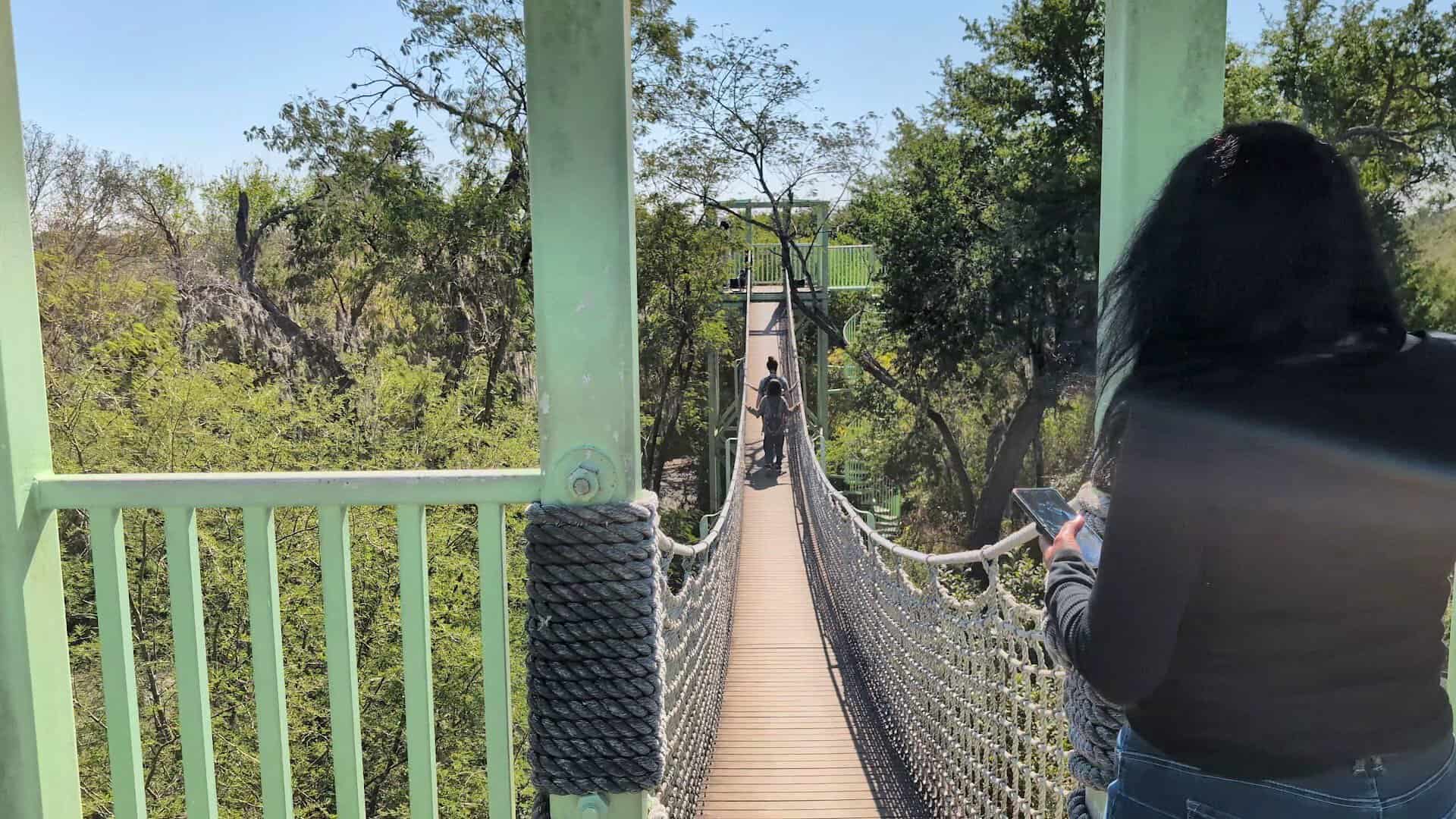 Walking across the swaying rope canopy bridge at Santa Ana National Wildlife Refuge