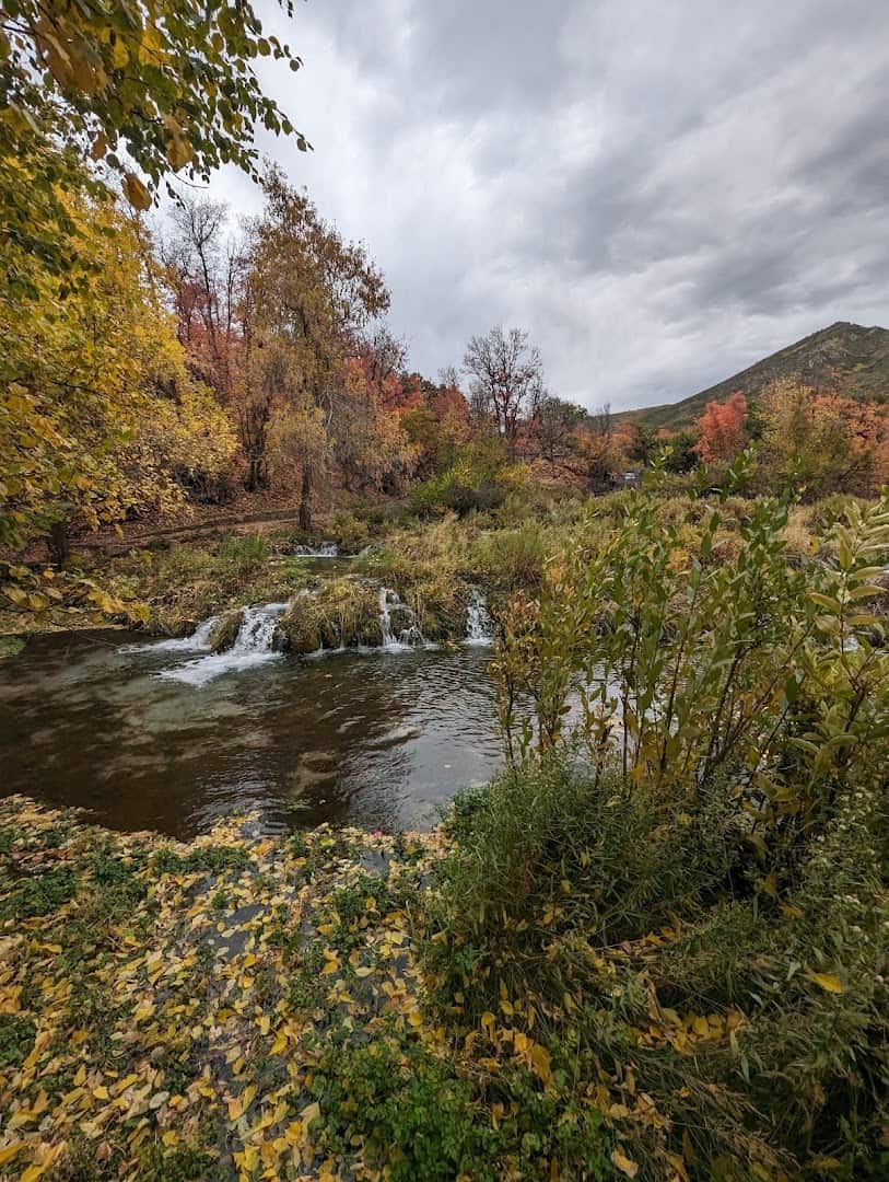 Golden fall foliage and a footbridge at Cascade Springs, Alpine Loop, Utah