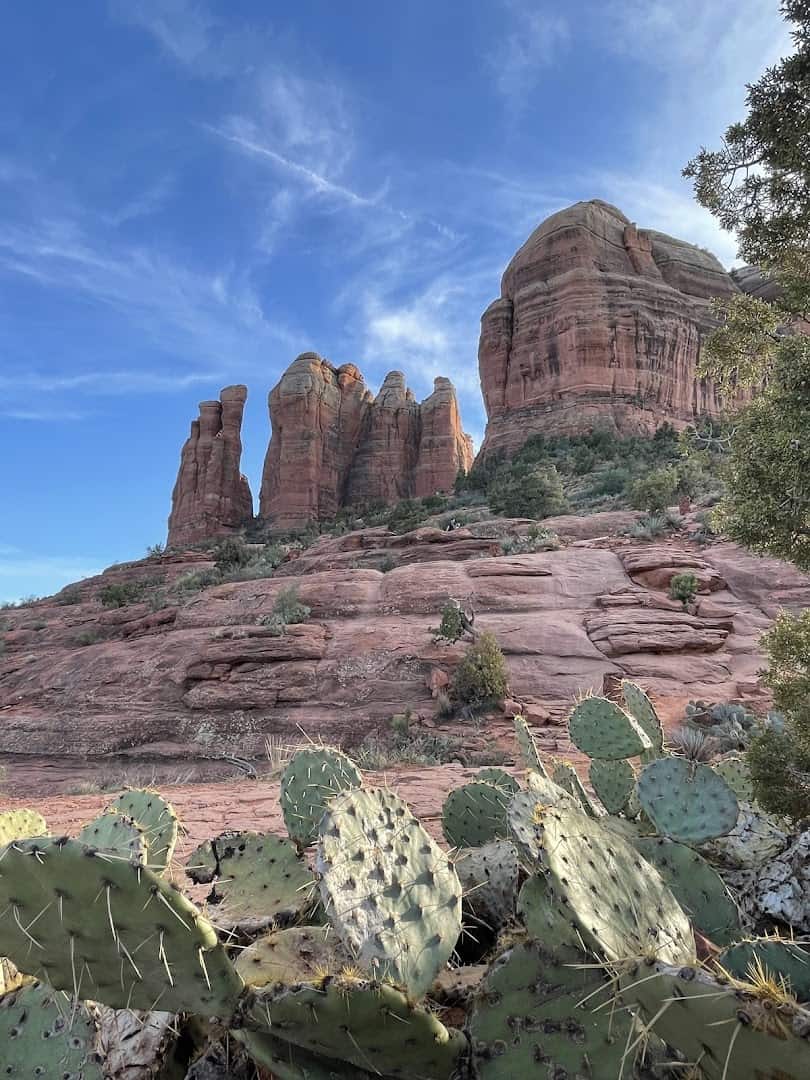 Cathedral Rock formation with cactus in the foreground, Sedona, Arizona
