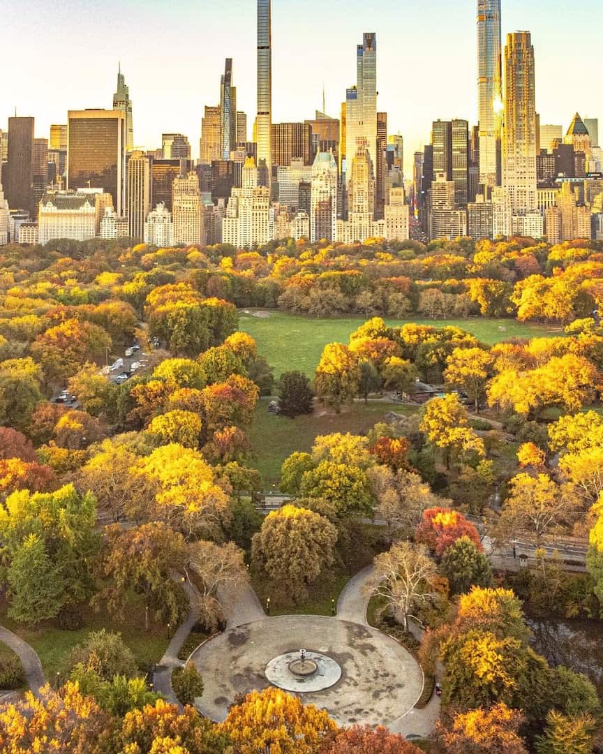 Aerial view over Central Park autumn treetops with the Manhattan skyline, New York City