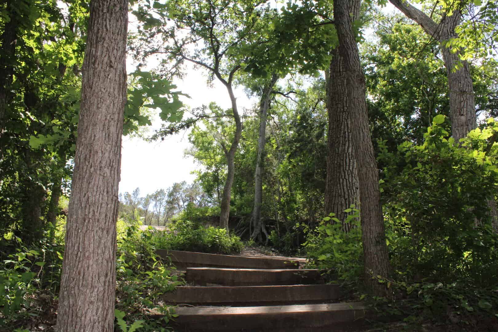 Timber steps climbing through a shady oak forest on the trail at Chalk Ridge Falls Park near Belton, Texas