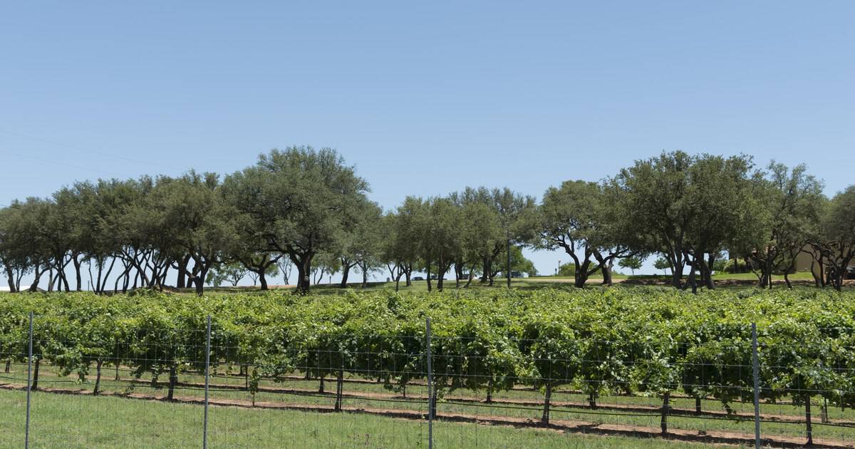 10 Charming Wine Towns That Locals Escape to for the Weekend