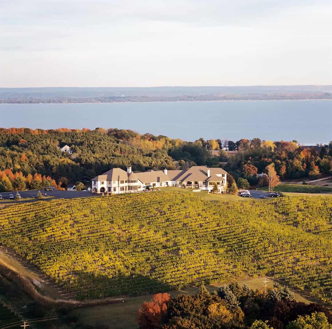 Golden autumn vineyard, Chateau Chantal, and Grand Traverse Bay on Old Mission Peninsula, Michigan