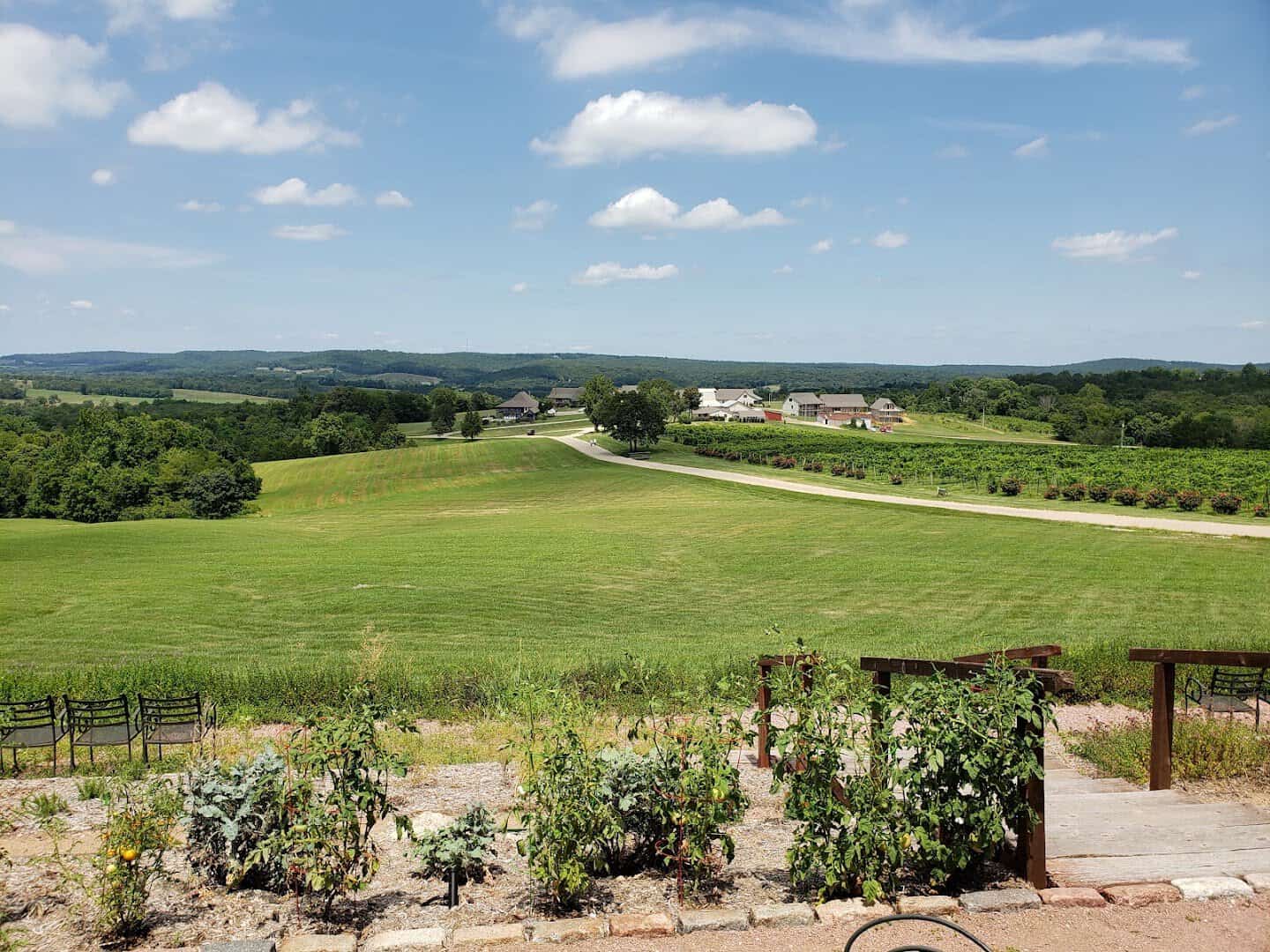 Rows of vines leading up to the buildings at Chaumette Vineyards in Ste. Genevieve, Missouri