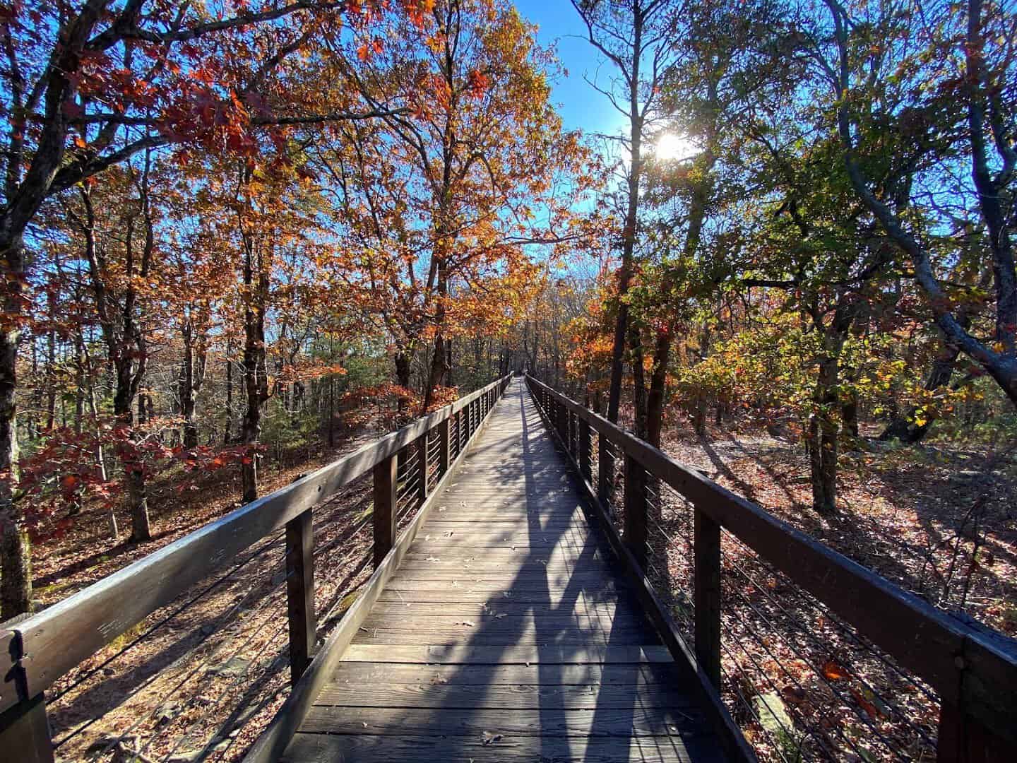 Bald Rock boardwalk through autumn foliage at Cheaha State Park, Alabama