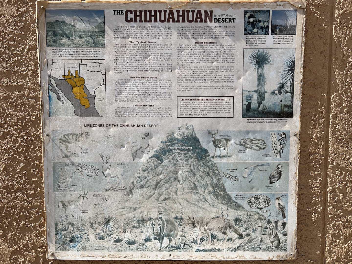 Interpretive panel about the Chihuahuan Desert at the Marfa Lights viewing area