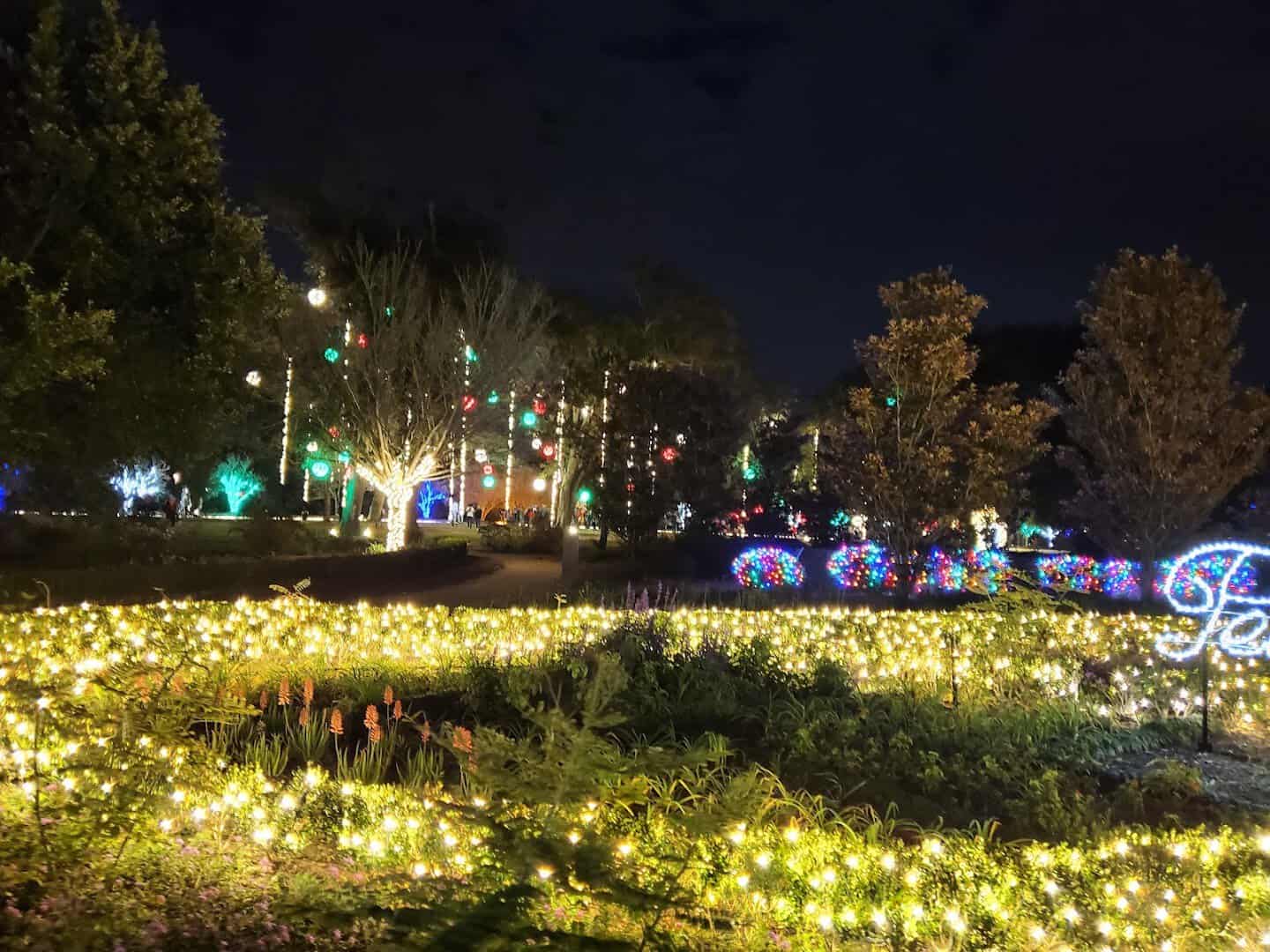 Holiday lights glowing at night during the Christmas Stroll at Shangri La in Orange, Texas