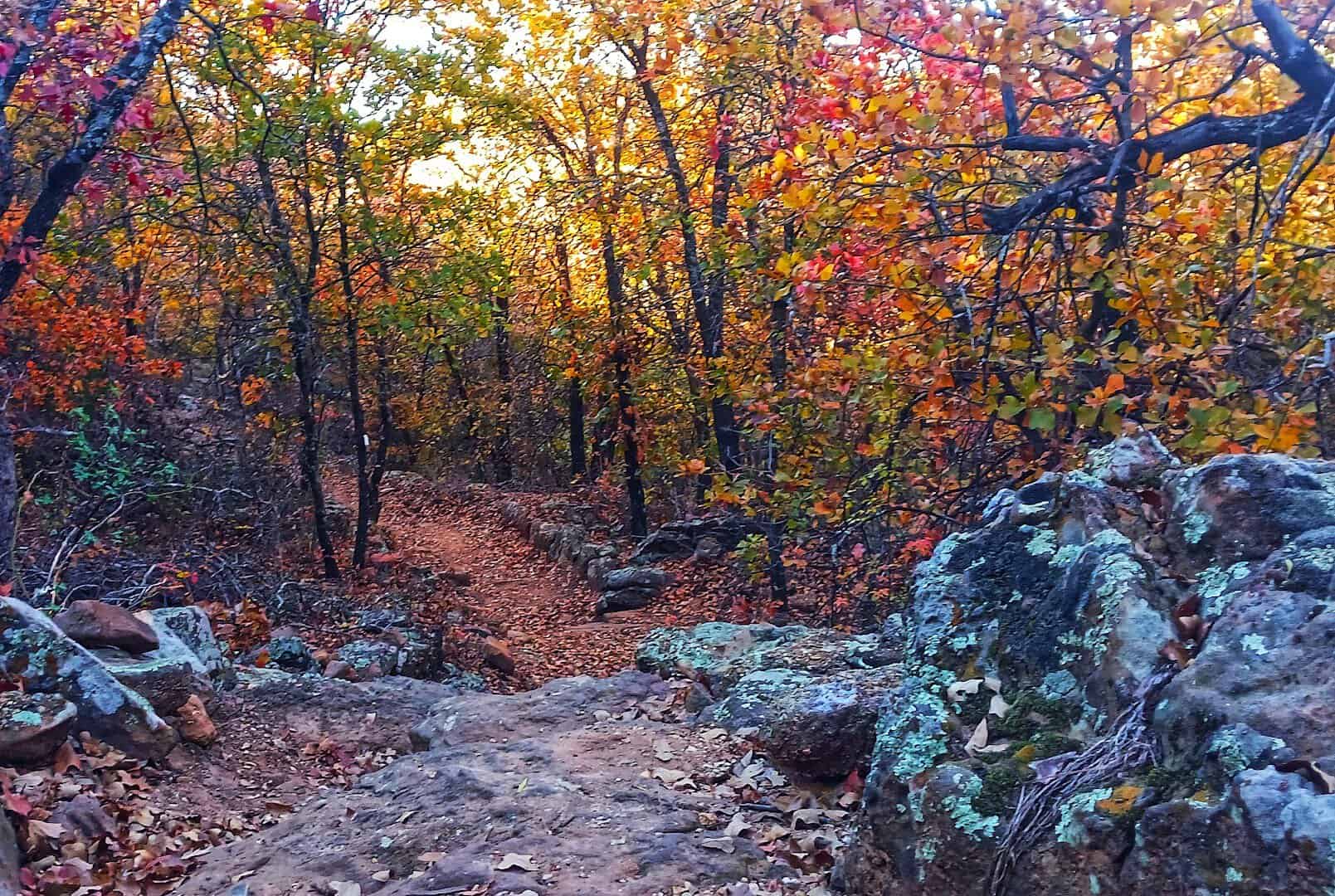 Fall foliage along the Old Zoo Nature Trails in Cisco, Texas