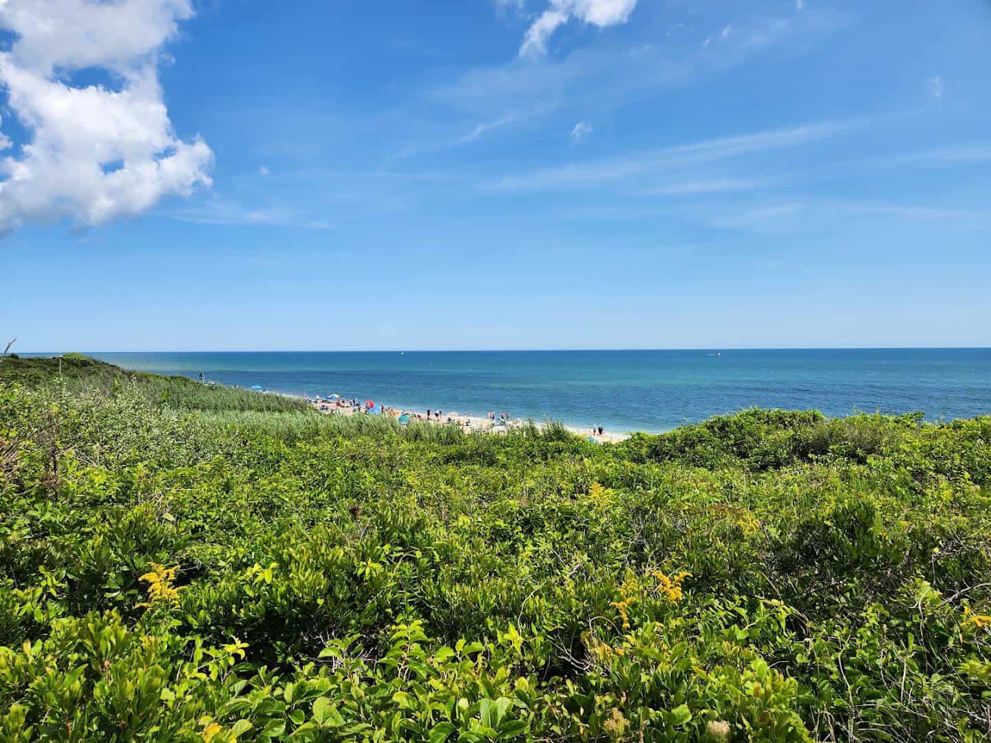 Sweeping view of the barrier beach at Coast Guard Beach, Cape Cod, Massachusetts