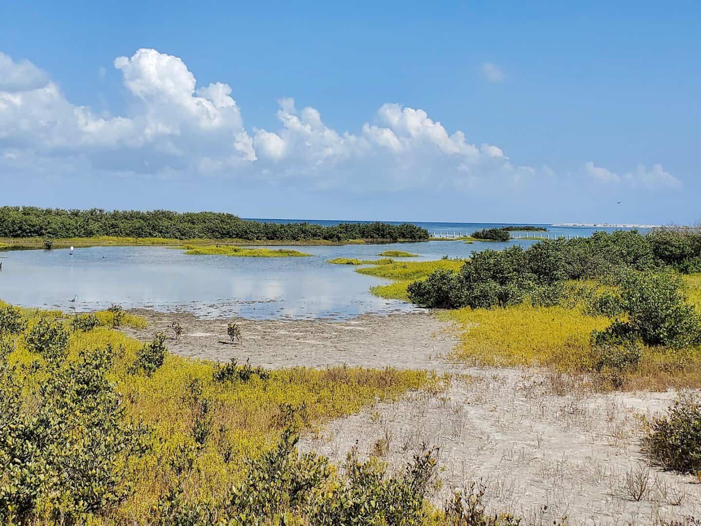 Coastal marsh and open water along the Laguna Madre Nature Trail, South Padre Island