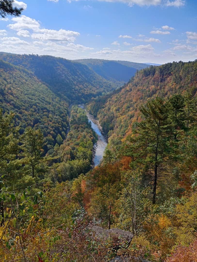Fall color in the Pine Creek Gorge from Colton Point State Park, Pennsylvania