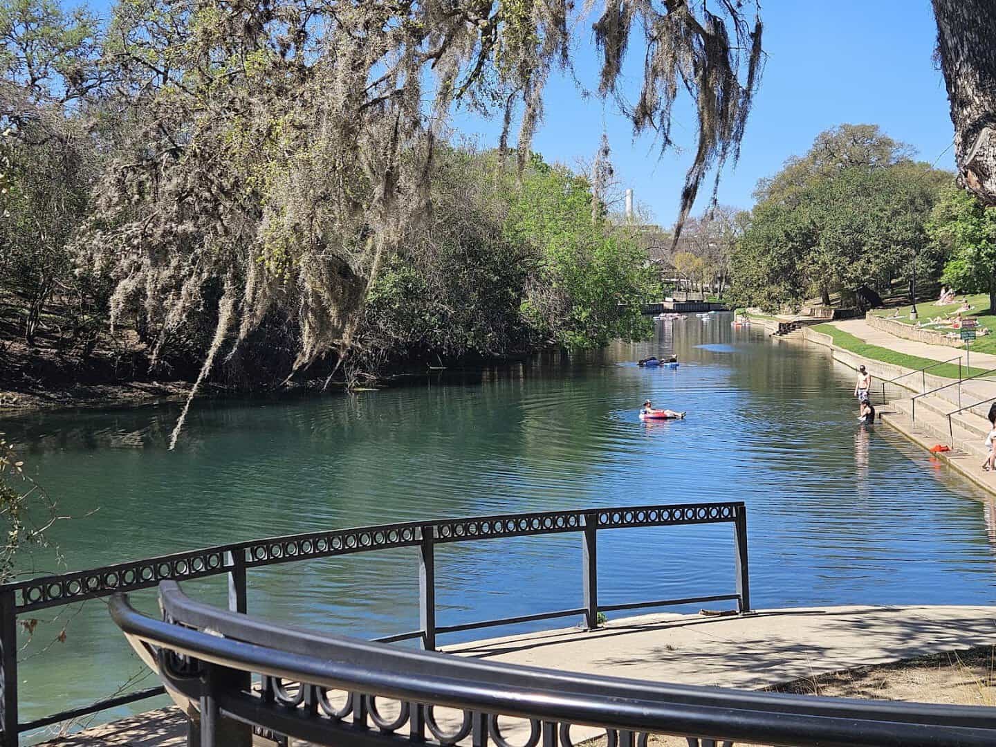Clear green channel of the Comal River between trees at Hinman Island Park
