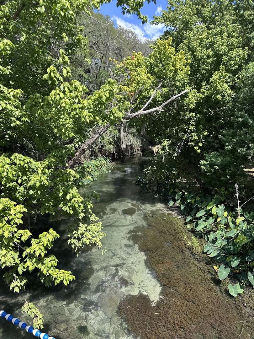Crystal clear shallow water over a rocky bed in the Comal River at Hinman Island Park