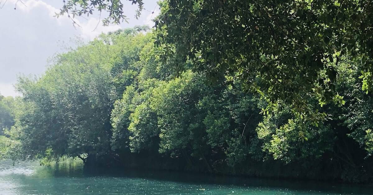 This Hidden Texas River Park Is the Coolest Place to Beat the Summer Heat