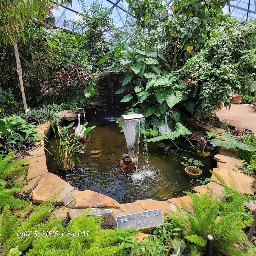 Tropical waterlily pool and waterfall inside the Warren Loose Conservatory