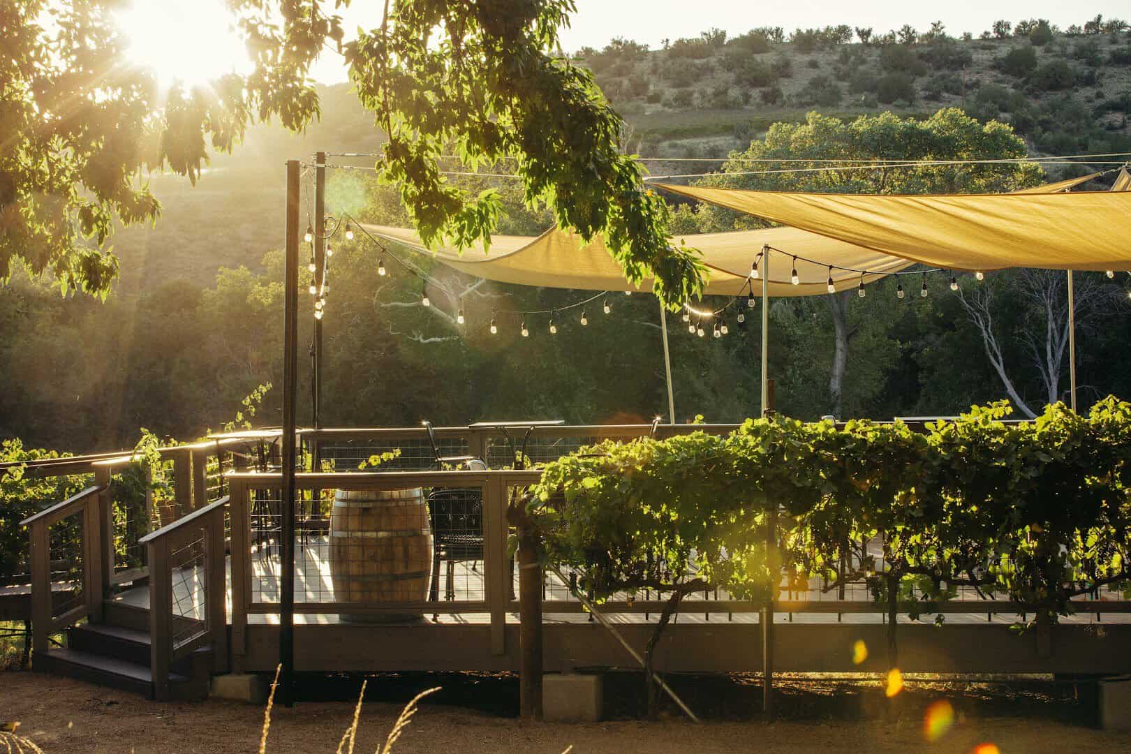 Golden-hour tasting patio under grapevines at Page Springs, Cottonwood, Arizona