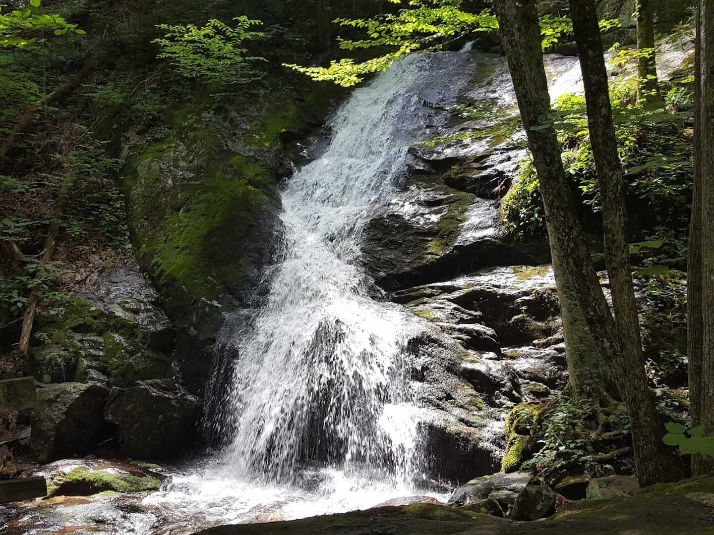 Crabtree Falls cascading through the forest near Montebello, Virginia