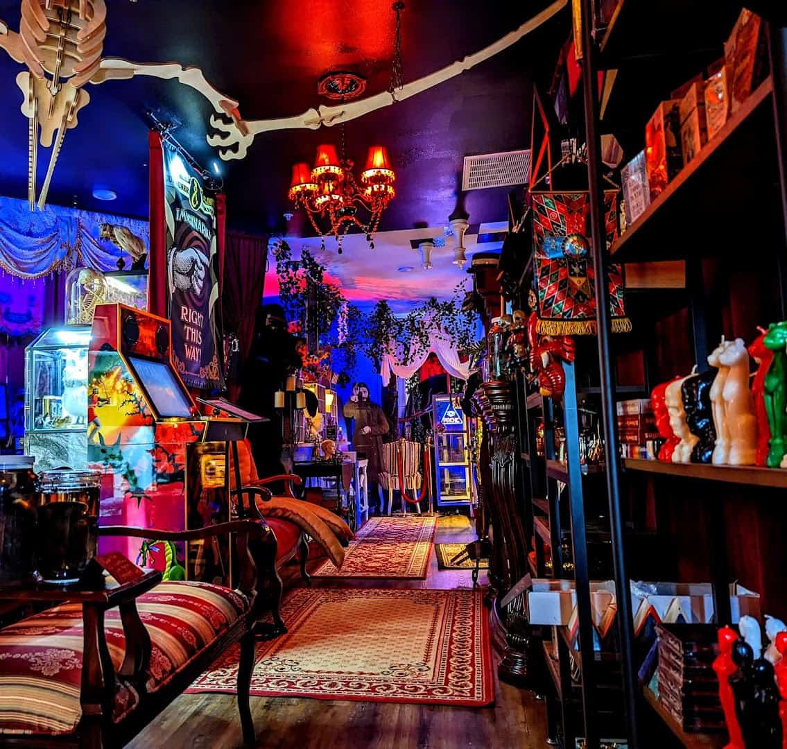 Eclectic curiosity-filled interior of Curia Arcanum's House of Curiosities in Austin, Texas
